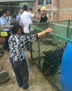 �����ﹷ�����Ǻ��� ����������ô�죿