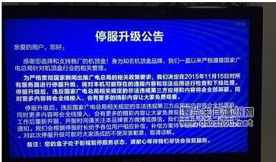 ��èħ�������ɱ   С�׺��ӡ���ҫ�����ڽ����ӣ�