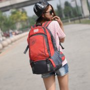 ��������˫����ʿ����