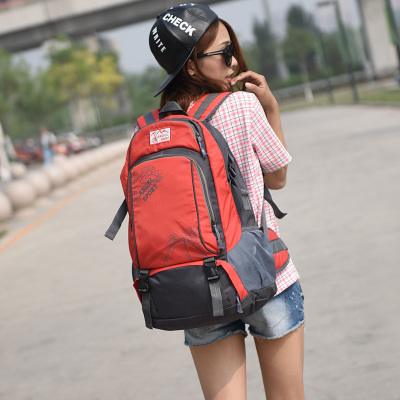 ��������˫����ʿ����