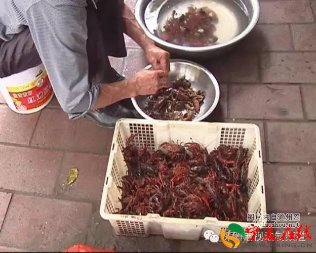 小龙虾里有肺吸虫?株洲市民千万不行马虎! 小龙虾里有肺吸虫?株洲市民千万不行马虎!