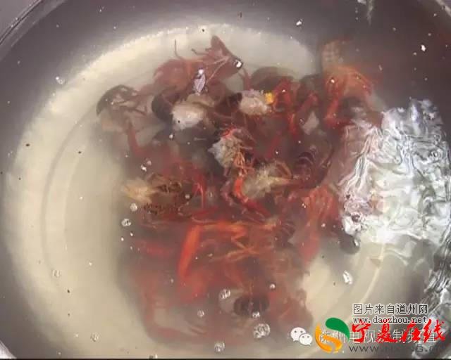 小龙虾里有肺吸虫? 株洲市民千万不行马虎!