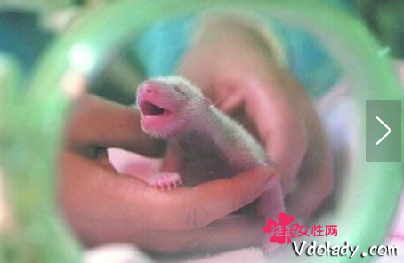 ����!Ů����������20ֻ���� �����������ǵĻ�