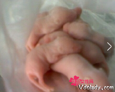 ����!Ů����������20ֻ���� �����������ǵĻ�