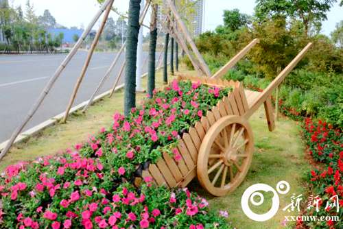 ϲӭ�����᣺30���軨�ܰ���¦�׽�ͷ