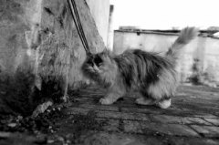 ��ŮʿΪ���Ǵ��һ������