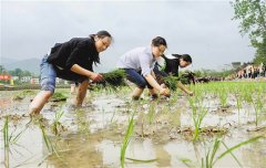  ������ ���� ��Ӱ����