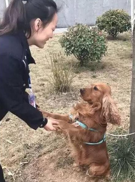 ��ëȮ��������ʧ ���ɳ�������������Σ