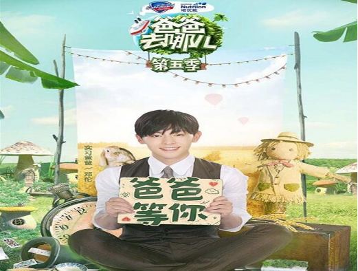 爸爸去哪儿5取消2017年播出计划 爸爸去哪ㄦ5停播原因曝光