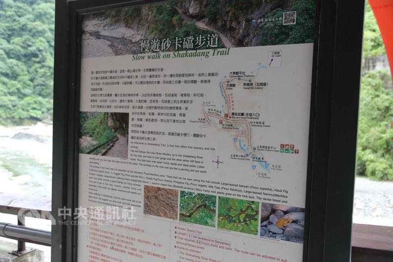 66岁大陆女游客在台湾失踪 消防员彻夜搜寻未果