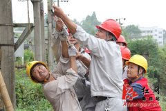 确保不发生人身安全、森林火灾和供电安全事故