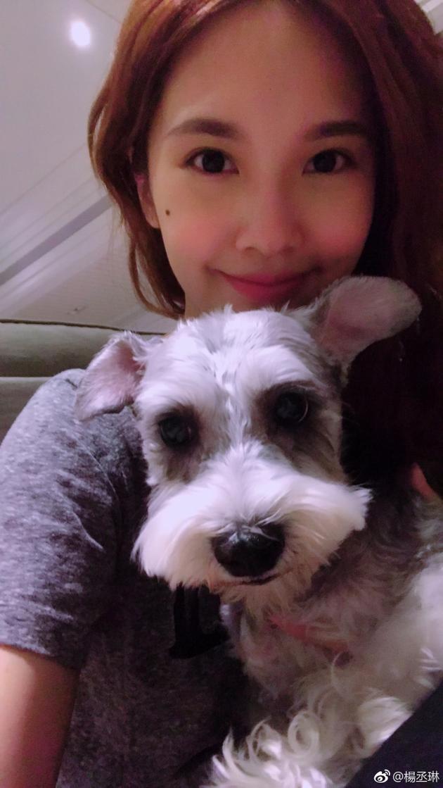 ��ة��ɹ�밮Ȯ���� �Ծ�ͷ��Ц������쳬�ɰ�