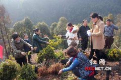 ���ݽ𶴰���������ڣ��ֲ�����֡��������֡�5600��(��ͼ