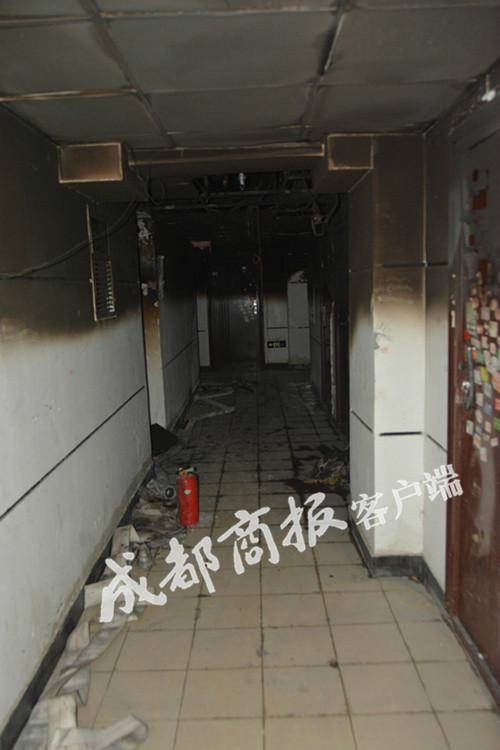 С��2��5�λ��� ���龹�Ǳ�������Ż𻹻ѳ��в�