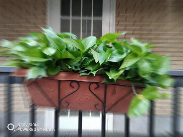 ʱ���������