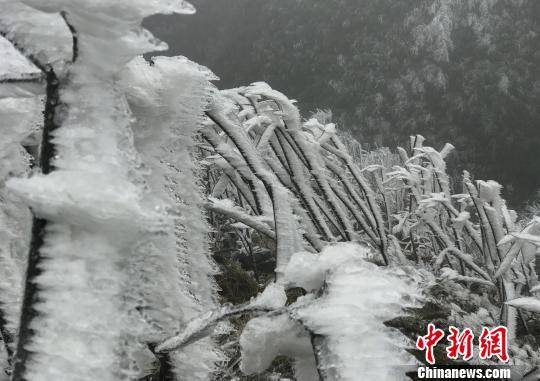 �����������������װ�ع��������