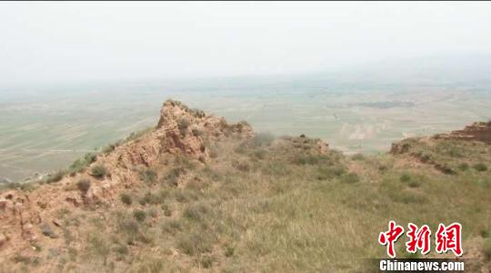 山西神池回应“盗挖者称各部门都需打点”:纪委已介入调查