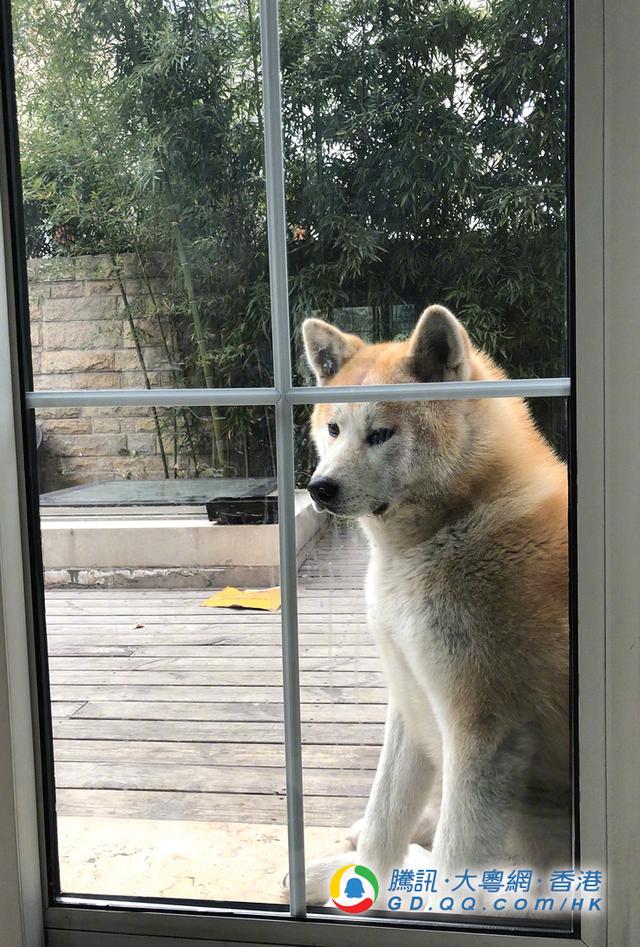 ��������Ů�������� �ڼ��������⴮�����̳�