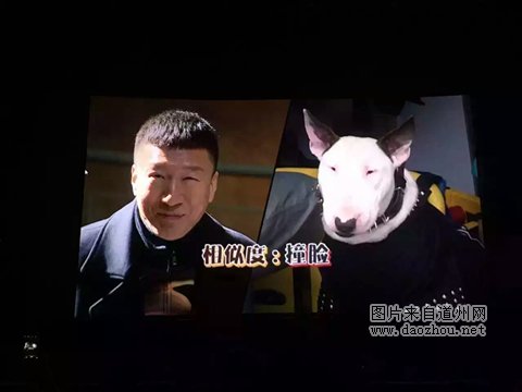 ������빷��ײ����