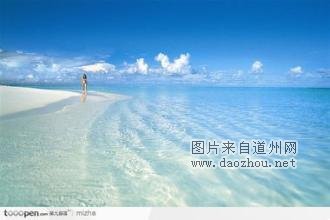 2016��׬Ǯ��������Ŀ������Ͻ���ҵ�ɣ�