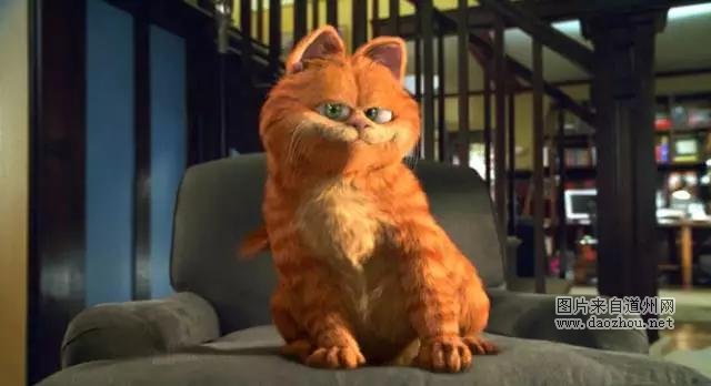 P2P����������Щ��Ӱ������̨�ʸ���ô˵����Ȥ