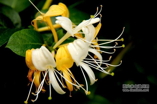 脚臭怎么办 有脚气怎么办才能彻底根除