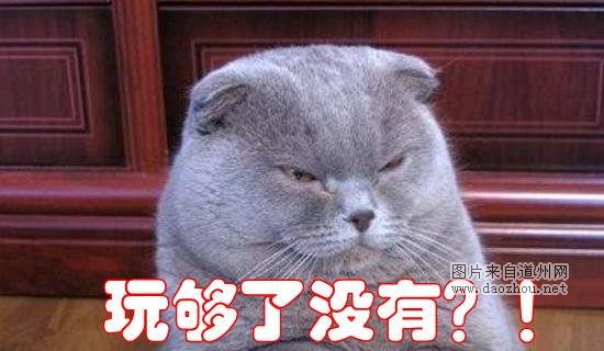 码小弟 侃科技IT大佬吸毒了?