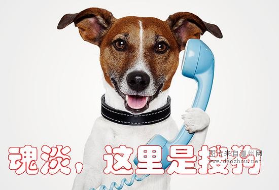 码小弟 侃科技IT大佬吸毒了?