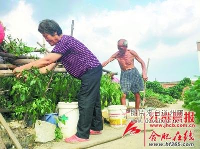 ��������������