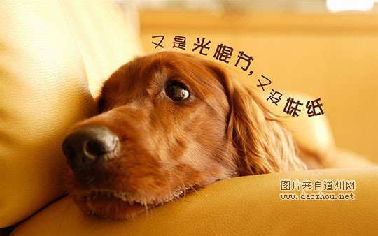 ����������ʮ��ְҵ���а�