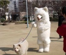 ��־����