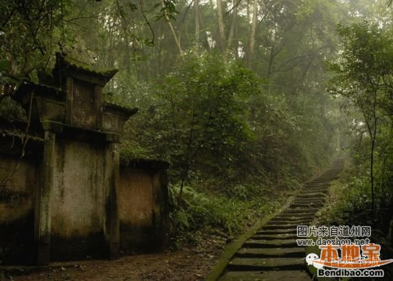 ���ڸ�����ʫ������Щ�����͹�ʫ�еĸ���