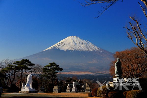 �������﹥�� �����ձ�ƽ����Ĥ����Щ