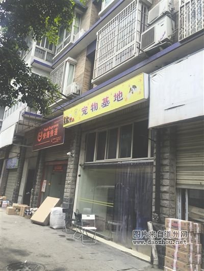 20多只宠物狗买来一周病亡 卖家:同行诋毁