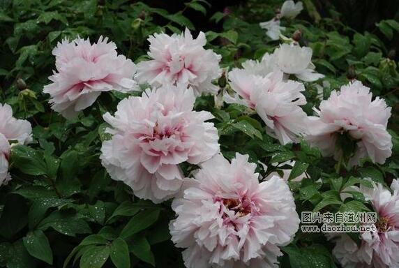 ����ĵ������