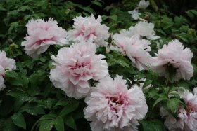 2016����ĵ�����ڹ�������ָ��