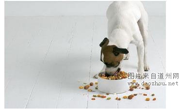 狗狗腿瘸没有外伤 一瘸一拐怎么回事