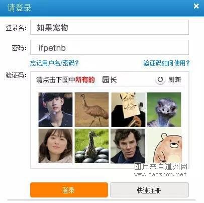 12306宠物版 今年你回的了家么?