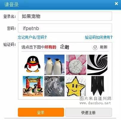 12306宠物版 今年你回的了家么?