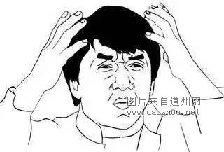 12306宠物版 今年你回的了家么?