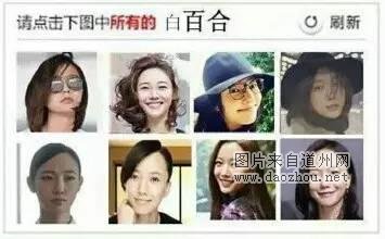 12306宠物版 今年你回的了家么?