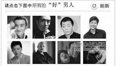 12306宠物版 今年你回的了家么?