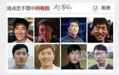 12306宠物版 今年你回的了家么?