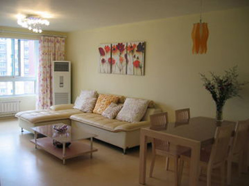 �·�����ȩ������ ������װ��Ⱦ���