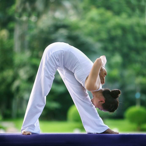 瑜伽。图片来自网络